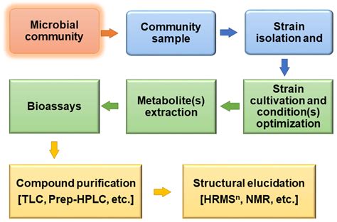 Omics for Bioprospecting and Drug Discovery from Bacteria and Microalgae