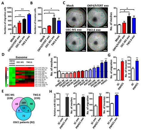 MEG3-Mediated Oral Squamous-Cell-Carcinoma-Derived Exosomal miR-421 ...