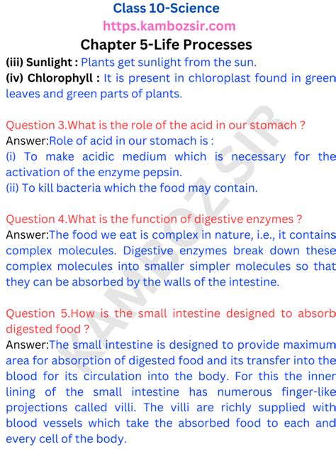 Image result for Life Process Class 5 Kind Story