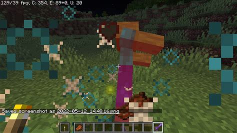 Bane of Arthropods vs. Sharpness enchantment: Which one is better in ...