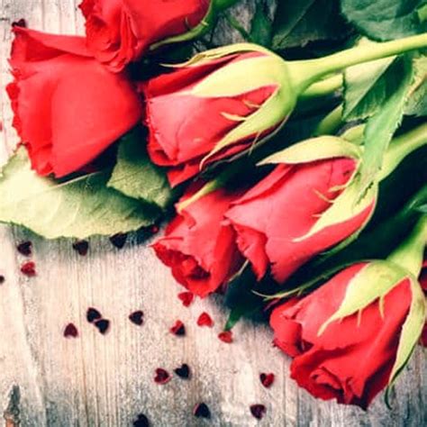 NATIONAL LOVER'S DAY - April 23, 2026 - National Today