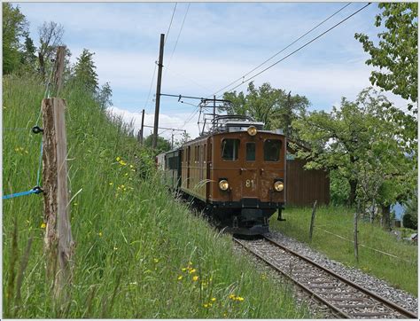 The SEG Mallet engine G 2x2/2 N° 105 of the heritage railway Blonay ...