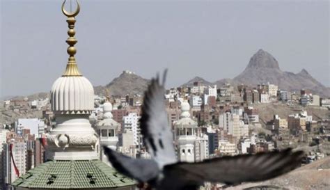 Syria: Isis Executes 3 Pigeons on 'Spying' Charges - IBTimes India