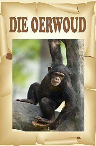 Die Oerwoud (Afrikaanse kinderboeke Book 31) (Afrikaans Edition) eBook ...