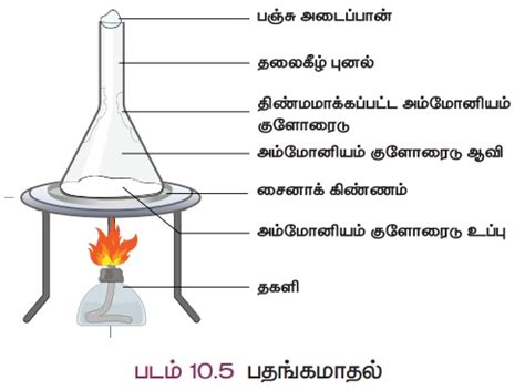 கலவைகளைப் பிரித்தெடுத்தல் - அறிவியல் | Kinetic Particle Theory of Three ...