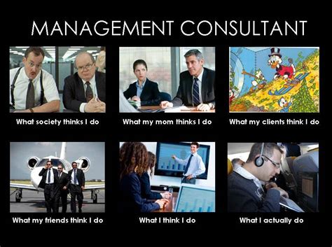 Wht Do Consultants Do 的图像结果