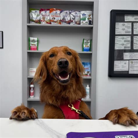Newport Hills Animal Hospital (@nhahvet) • Instagram photos and videos
