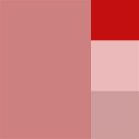 Image result for Color Map Unity