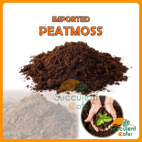 Peatmoss Imported Fine Peat moss Soil for Seedings Substrate Soil ...