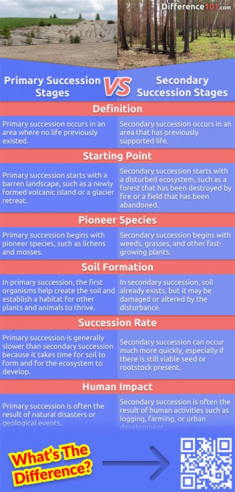 Image result for Primary Succession Examples