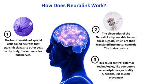 Image result for Neuralink Machine Learning