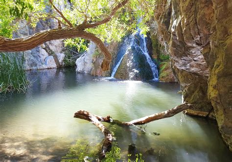 Hiking Darwin Falls: The Coolest Hiking Trail In Death Valley — ROAD ...