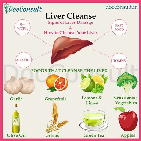 Casual Tips About How To Clean My Liver - Dugdrive82