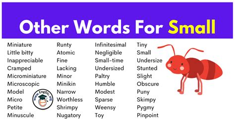 Small synonyms in English - other words for small (Download PDF.,)