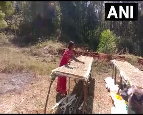 Coffee plantation transforming lives of tribals in Odisha's Koraput ...