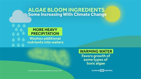 Algae Blooms and Climate Change | Climate Central