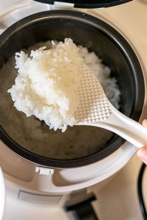 Easy Homemade Chicken Broth Rice Cooker Recipe for Cozy Meals - Worth ...