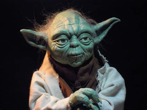Master Yoda - Fantastic modelers - who was yoda's master