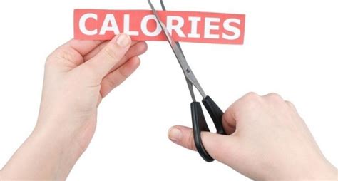 Can High-Protein Foods Help with Weight Loss?
