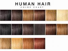 All Hair Colors by Human Hair Color 101 All You Need To About All Hair Colors