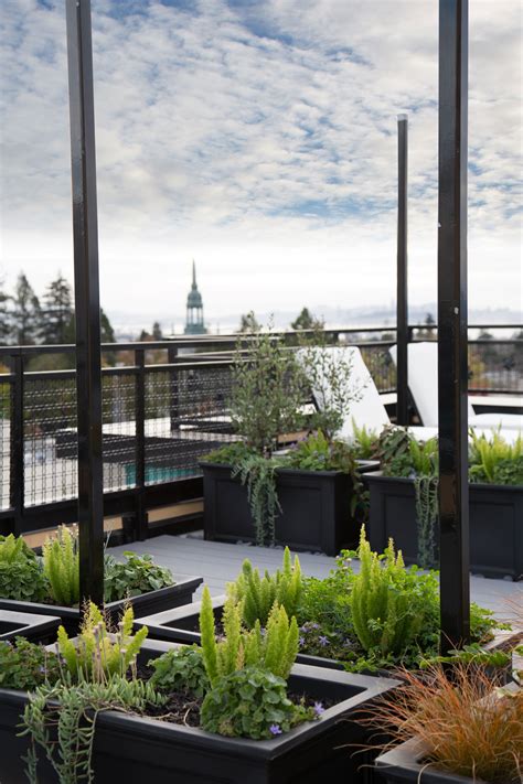 Apartments in Berkeley, CA - Addison Arts Apartments in Berkeley, CA