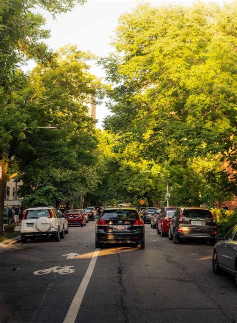 The Medallion: Lakeview Chicago Luxury Apartments