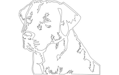 Image result for Lab DXF