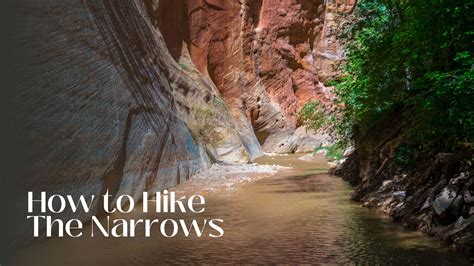 Explore The Narrows: Zion’s Must-See Hiking Adventure