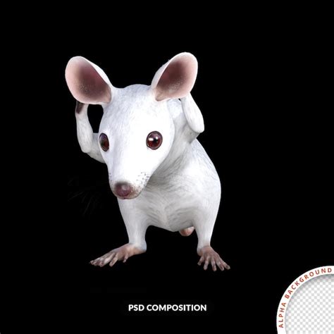 White mouse 3d rendering | Premium PSD