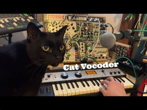 Image result for Cat Vocoder