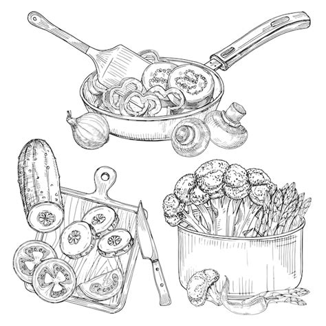 Cooking vegetables, dishes and vegetables sketch illustration | Premium ...