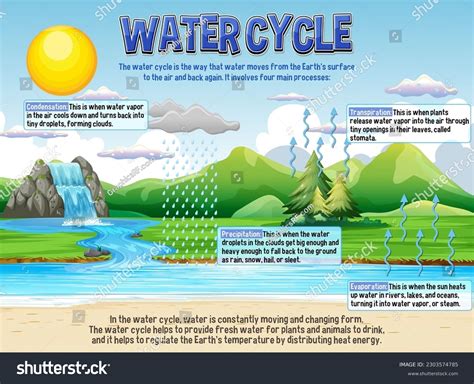 Water Cycle Poster For Kids