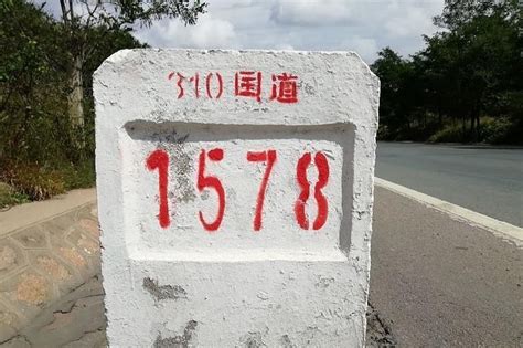 310国道(中国境内公路)_搜狗百科