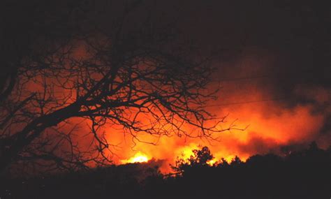 今年3月份云南发生森林火灾26起-新闻频道-和讯网