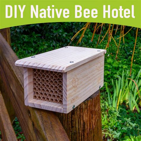 Buy Rivajam DIY Mason Bee House Woodworking Project Kit Solitary Online ...