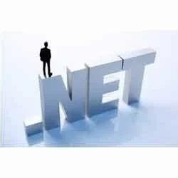 Image result for Dot Net Programmer