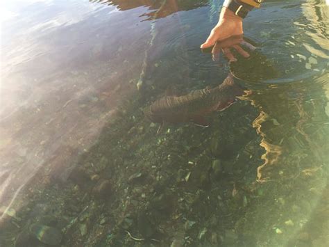 Fishing Ushuaia - 2022 What to Know Before You Go (with Photos ...