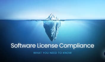 Image result for Software License Audit