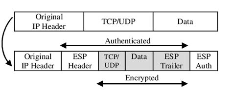 Image result for IP Datagram Model