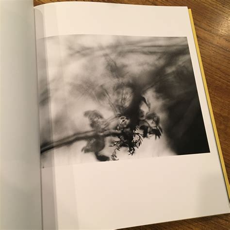 Asterisk / Daisuke Morishita | 百年