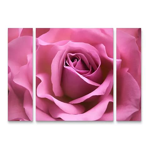 Misty Pink Rose Canvas Wall Art 3-piece Set