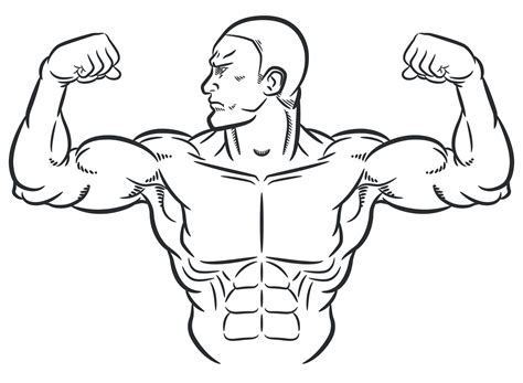 Man Flexing Arm Drawing at Lori Allan blog
