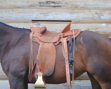 Image result for Front Padding