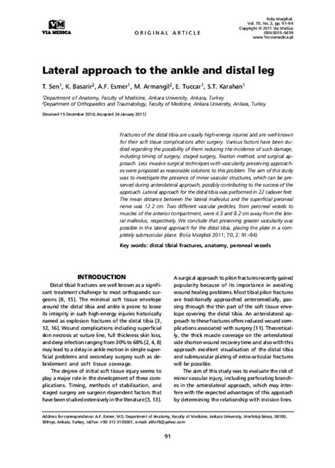 Image result for Ankle Injection Lateral Approach