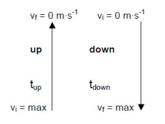 Image result for Vertical Projectile Motion Excercise