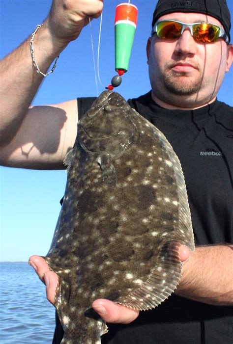 Texas Flounder Limit