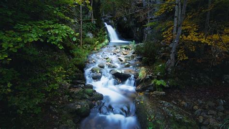 Image result for Water Stream Relaxation