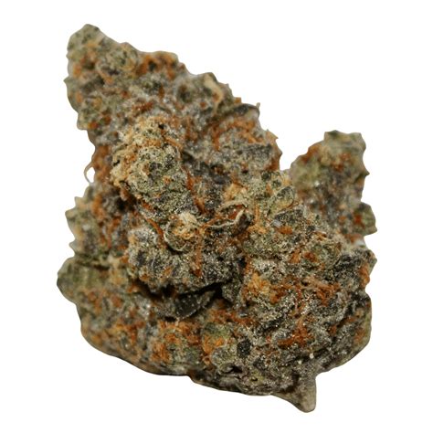 Image result for Alien for Sale