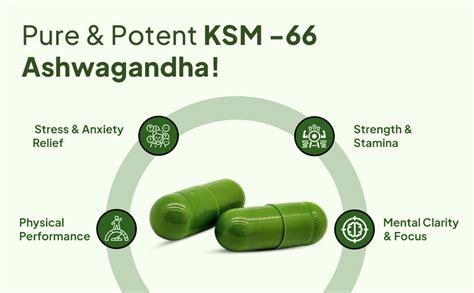 Miduty Ashwagandha 3X Supplement 500 mg Serving - KSM 66 Ashwagandha ...