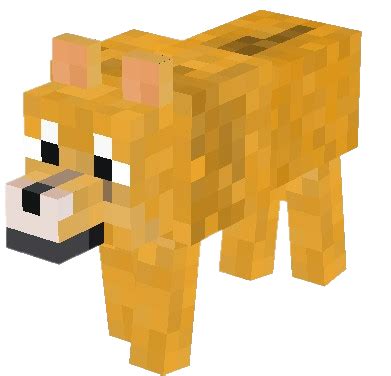 Image result for Dingoo Mod